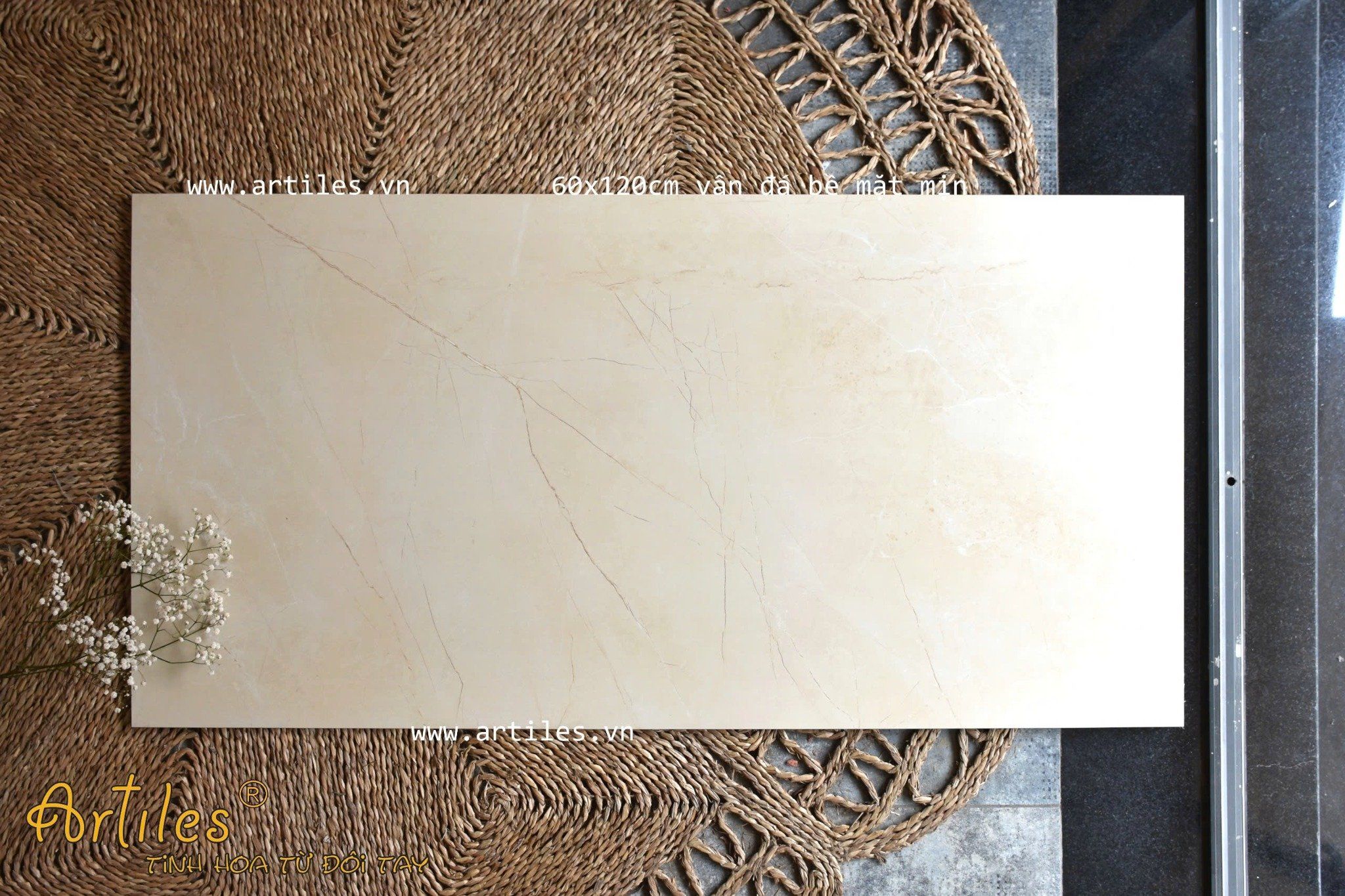 Gạch ốp lát men kim cương Art62022