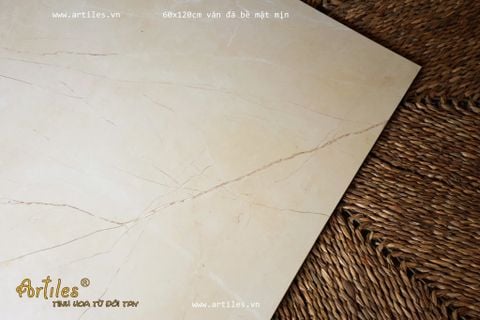  Gạch ốp lát men kim cương Art62022 