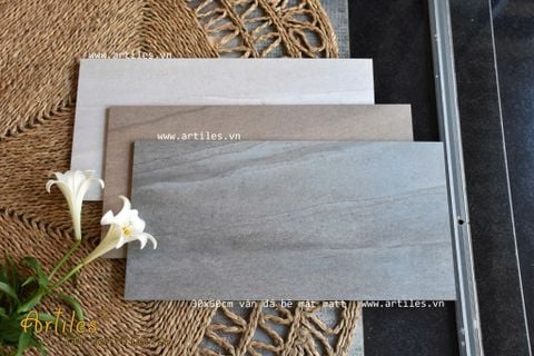  Gạch ốp lát 30x60 vân đá Art306M 
