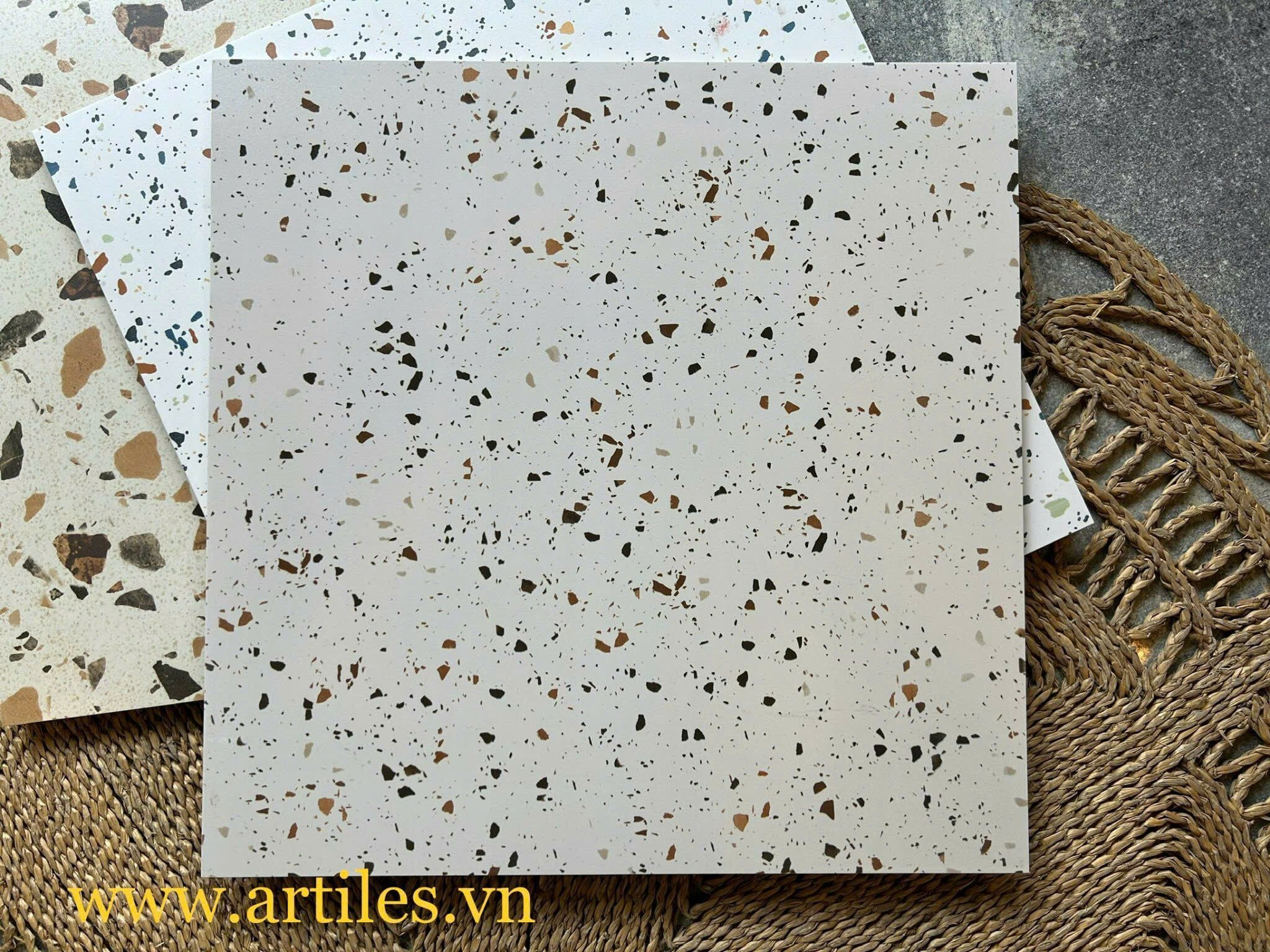 Gạch đá mài Terrazzo Art6060 -Ter22