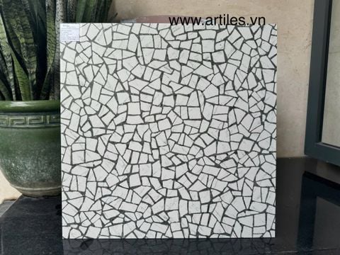  Gạch đá mài Terrazzo Art6060 - D6736 