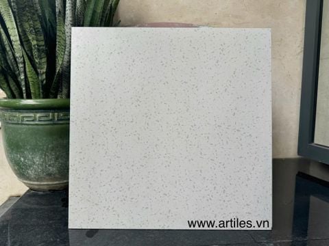  Gạch đá mài Terrazzo trắng Art6060 - S02 