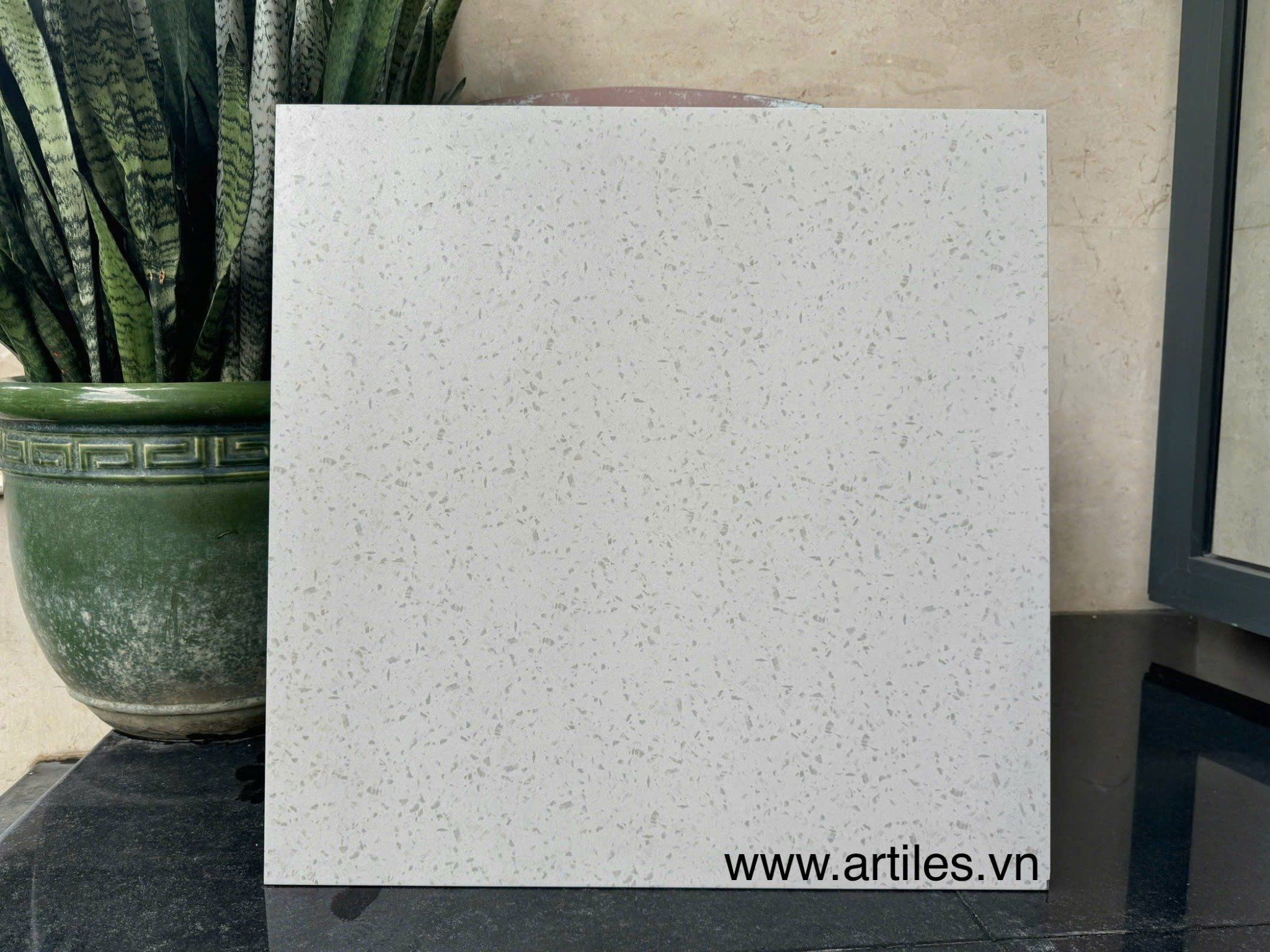 Gạch đá mài Terrazzo trắng Art6060 - S02