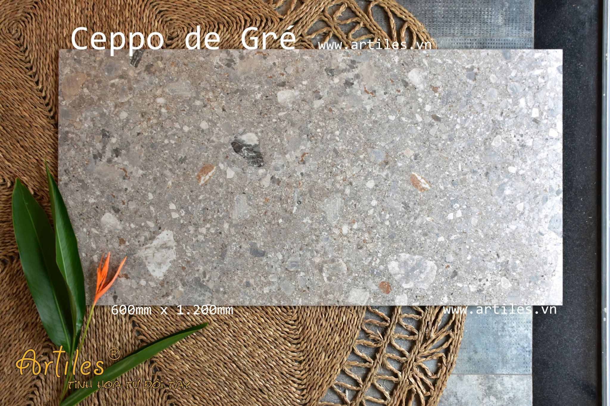 Gạch Terrazzo ( đá mài ) 60x120cm Art-Ter06M