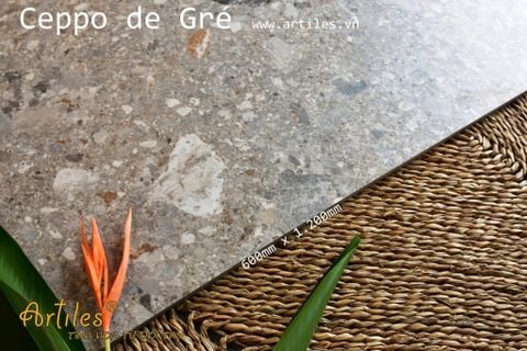  Gạch Terrazzo ( đá mài ) 60x120cm Art-Ter06M 