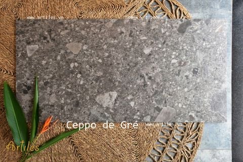  Gạch Terrazzo ( đá mài ) 60x120cm Art-Ter08M 