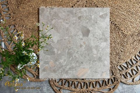  Gạch terrazzo mờ 60×60 Art604 