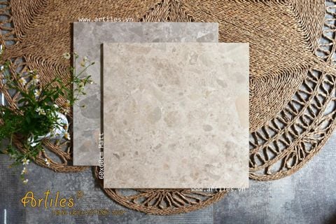 Gạch terrazzo mờ 60×60 Art603 