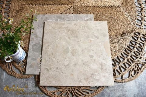  Gạch terrazzo mờ 60×60 Art603 