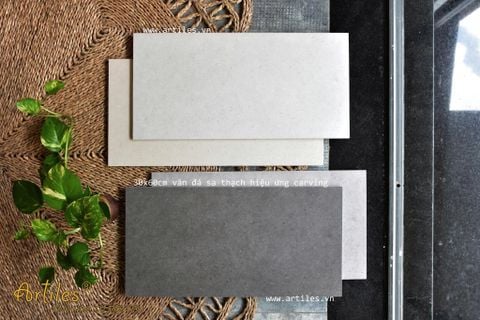  Gạch ốp lát nhà vệ sinh 30x60cm mờ 