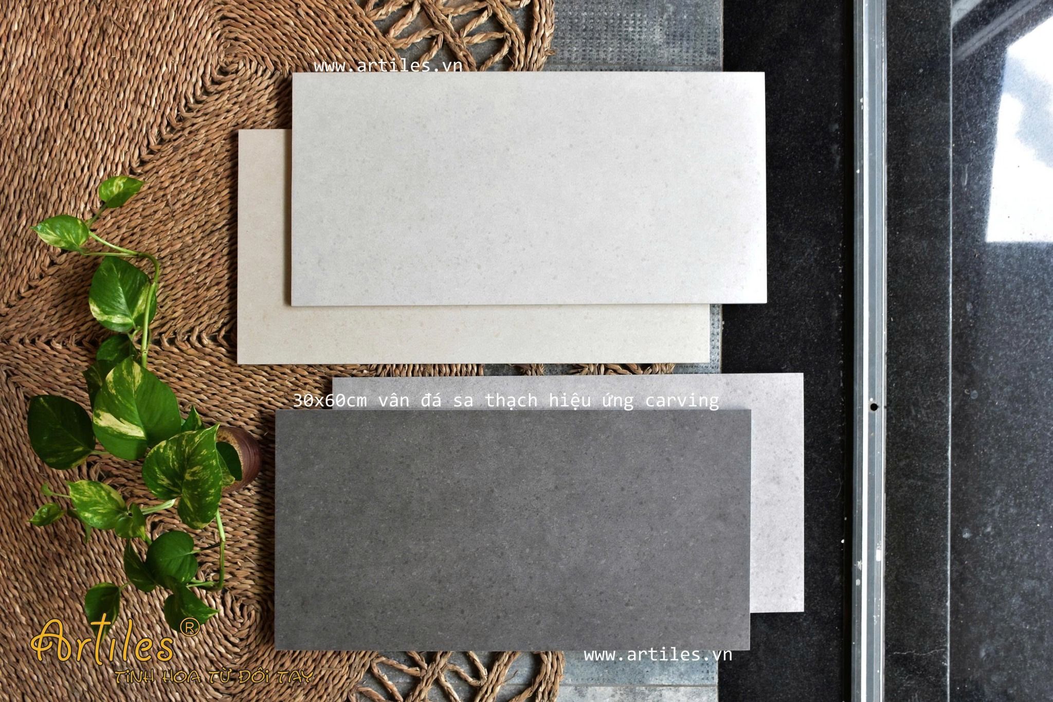 Gạch ốp lát nhà vệ sinh 30x60cm mờ
