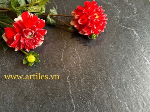  Gạch 60x60 sắc đen huyền bí 