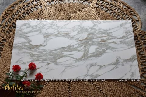  Gạch Vân Đá Marble Trắng Gold Calacatta Borghini 