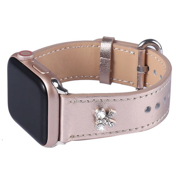 Dây Da Kim Tuyến Nạm Đá