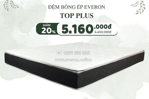 Đệm bông ép Top Plus Everon