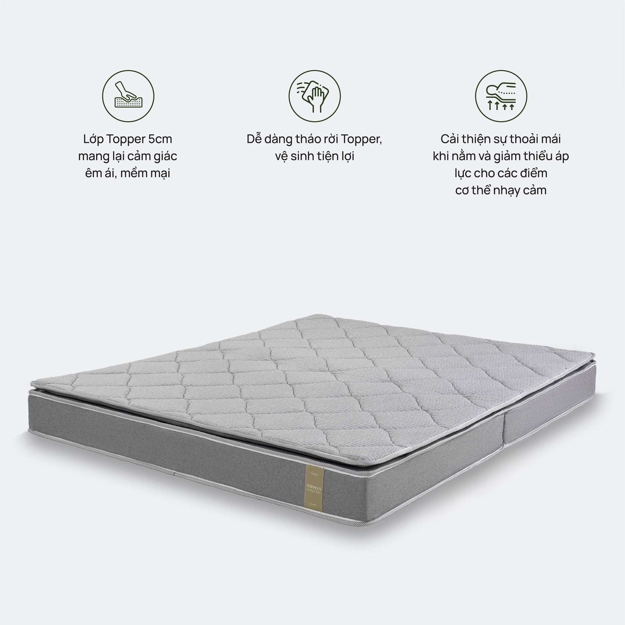 Đệm bông ép Top Plus - New