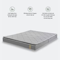 Đệm bông ép Top Plus - New