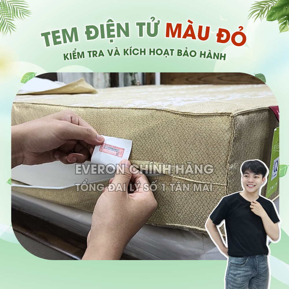 Đệm bông ép cao cấp Artemis