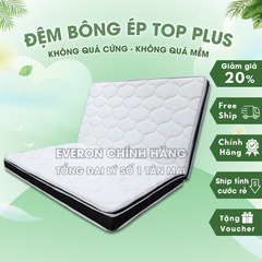 Đệm bông ép Top Plus Everon