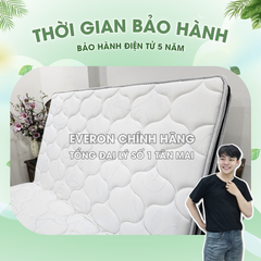 Đệm bông ép Top Plus Everon