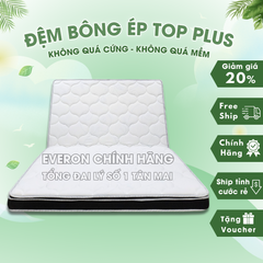 Đệm bông ép Top Plus Everon