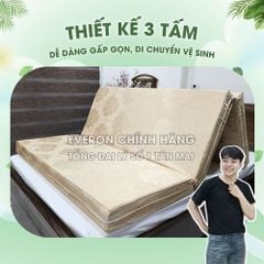 Đệm Than Hoạt Tính Everon