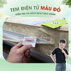 Đệm Than Hoạt Tính Everon