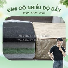Đệm Than Hoạt Tính Everon