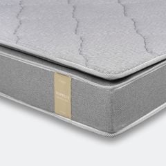 Đệm bông ép Top Plus - New