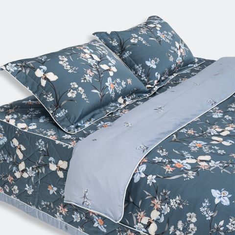 Bộ Everon EPT24084