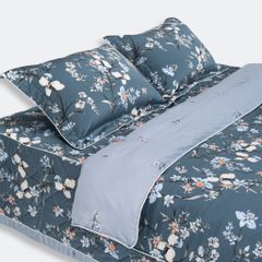 Bộ Everon EPT24084