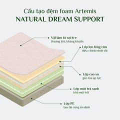 Đệm Artemis Foam Everon 22cm Nature Dream Support