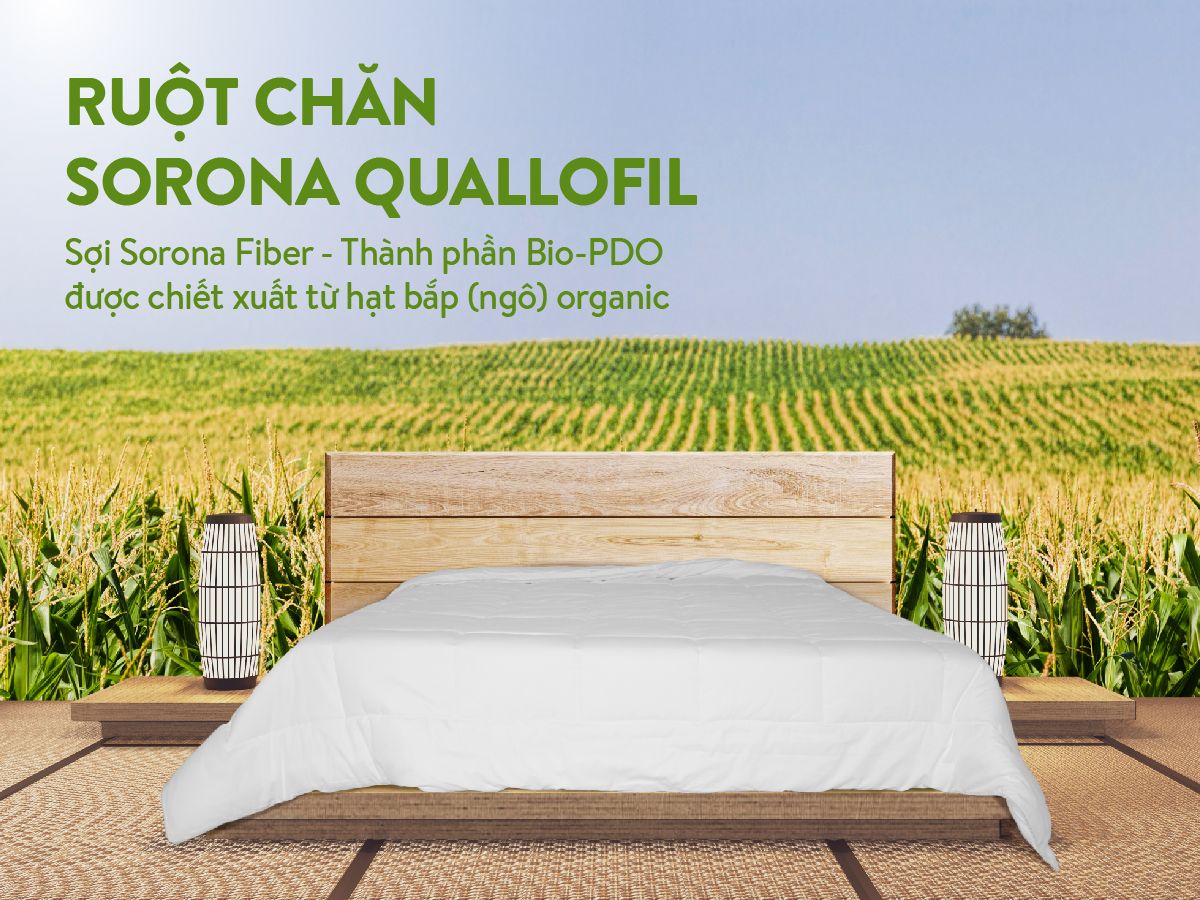 Ruột chăn Everon Sorona Quallofil cao cấp