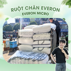 Ruột chăn Everon Micro