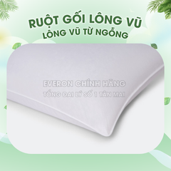 Ruột gối Lông Vũ Everon