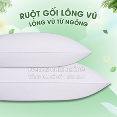 Ruột gối Lông Vũ Everon