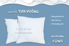 Ruột gối tựa vuông Everon