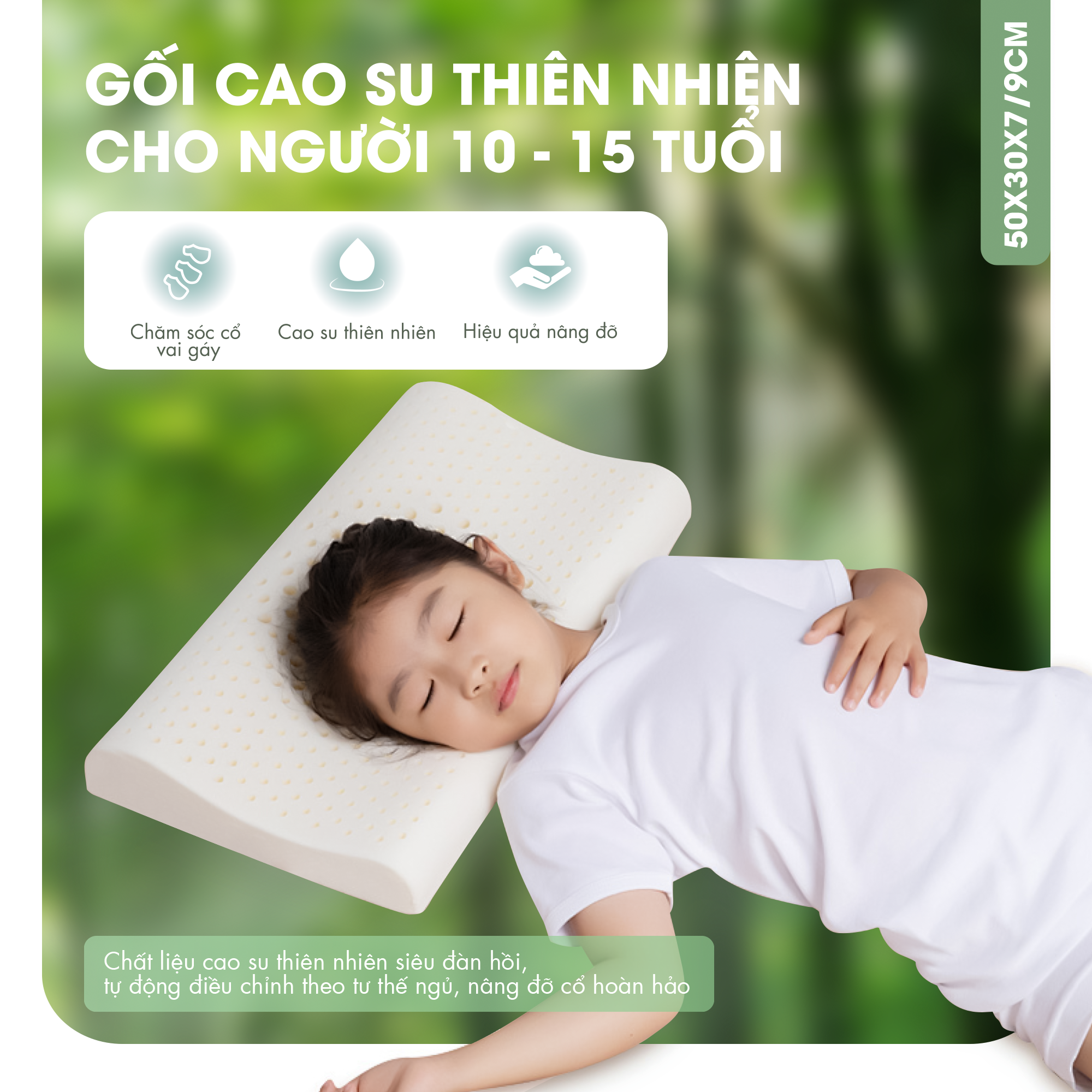 Gối cao su thiên nhiên NIN House 50x30x7/9cm