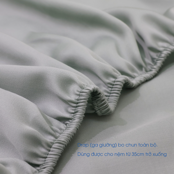 NP8912 - Bộ chăn ga gối Tencel NIN Pristine NP8912