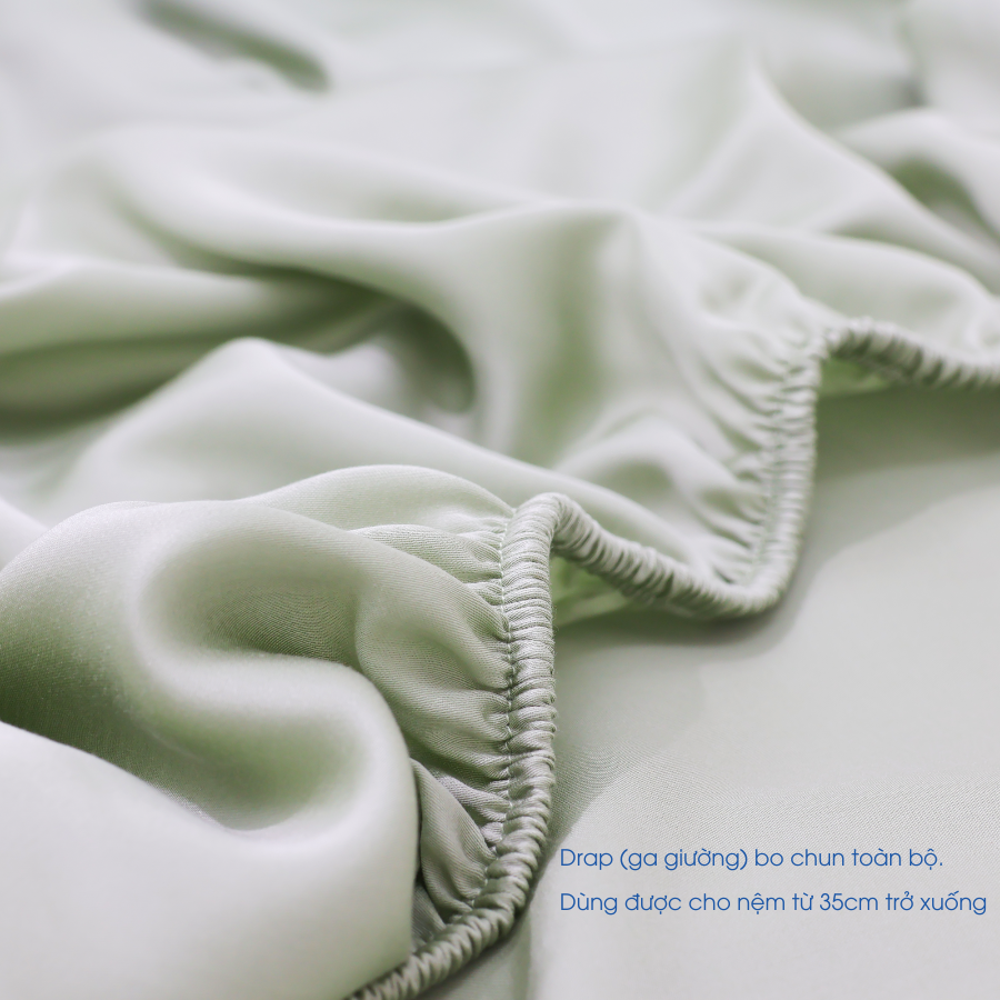 NP8913 - Bộ chăn ga gối Tencel NIN Pristine NP8913