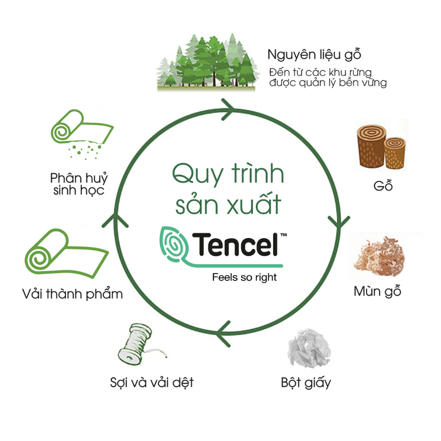 NP8912 - Bộ chăn ga gối Tencel NIN Pristine NP8912