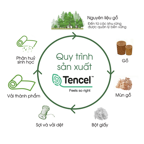 NP8909 - Bộ chăn ga gối Tencel NIN Pristine NP8909