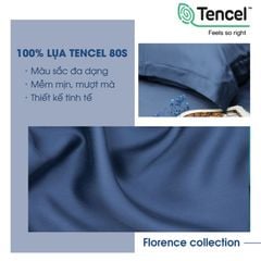 Bộ chăn ga gối Tencel NIN Florence Hope Star