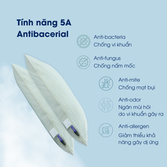 Gối chần bông Cloudy NIN House - Cotton Quilted Pilllow cho người năm thấp