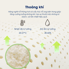 Nệm cao su thiên nhiên massage NIN House 7 vùng 180x200x10cm - Hỗ trợ chăm sóc cột sống