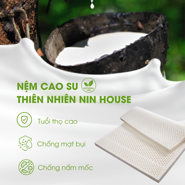 Cách đo giường để mua đệm