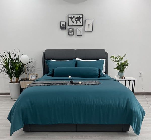 Vỏ chăn tencel NIN House 220x230cm TF6009