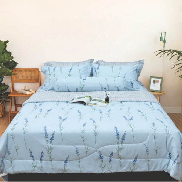 CT220032 - Bộ chăn ga gối Microfiber NIN Calisto CT220032