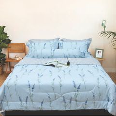 CT220032 - Bộ chăn ga gối Microfiber NIN Calisto CT220032