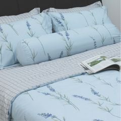 CT220032 - Bộ chăn ga gối Microfiber NIN Calisto CT220032